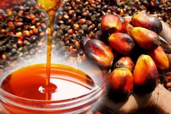 30 percent of palm oils on Ghanaian markets fail FDA’s nationwide zero Sudan dye test