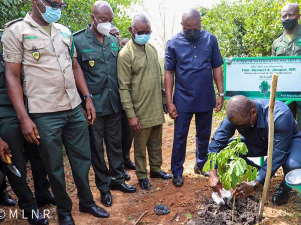 Green Ghana Project: Planting 20 million trees today achievable – Forestry Commission