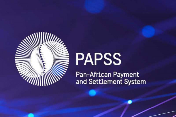 Moves to connect GhIPSS to Pan-African Payment System ongoing – Archie Hesse