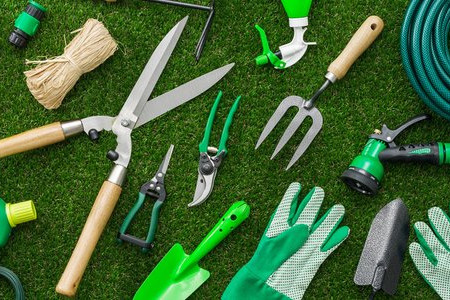 6 Basic Lawn Products You Should Have