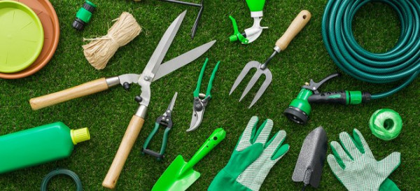 6 Basic Lawn Products You Should Have