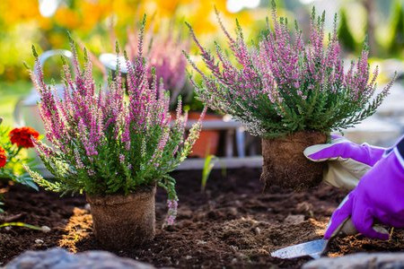 9 Ways to Make Your Front Yard Look Better in a Day 