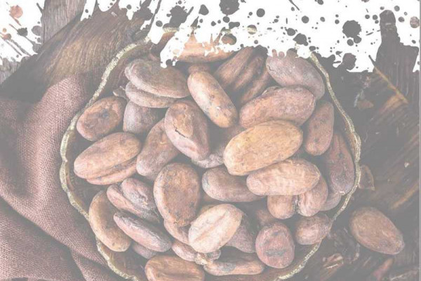 ICCO releases Monthly Cocoa Market Report for December 2021