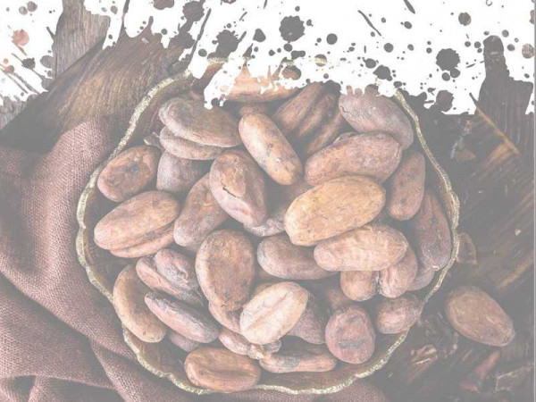 ICCO releases Monthly Cocoa Market Report for December 2021