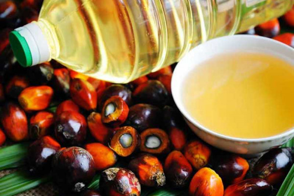Supply of cooking oil to stall if Indonesia’s ban on palm oil export persists