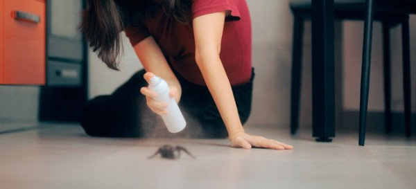 Don’t Waste Your Money on These Pest Control Products 