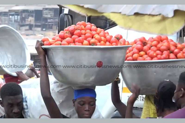 MOFA urges tomato traders not to buy from Burkina Faso this festive season