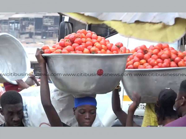 MOFA urges tomato traders not to buy from Burkina Faso this festive season