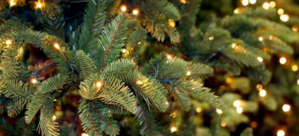 How to Care For a Brown Christmas Tree 