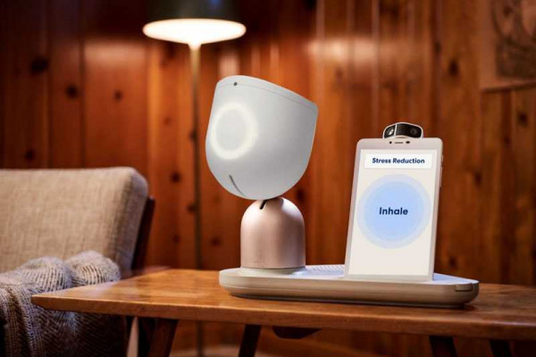 The ElliQ eldercare robot is finally available