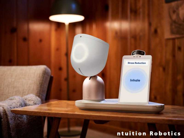 The ElliQ eldercare robot is finally available