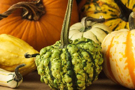 29 Pumpkin Varieties