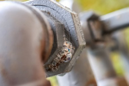 How to Tell If Your Gas Oven Has a Leak 