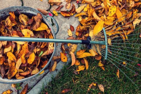 Sustainable Fall Lawn Care