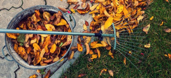 Sustainable Fall Lawn Care