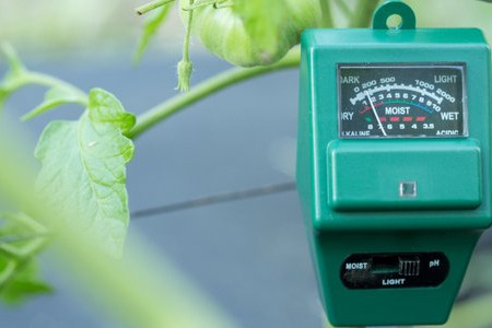 7 Set It and Forget It Gardening Tools 