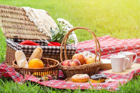 What to Take on a Picnic 