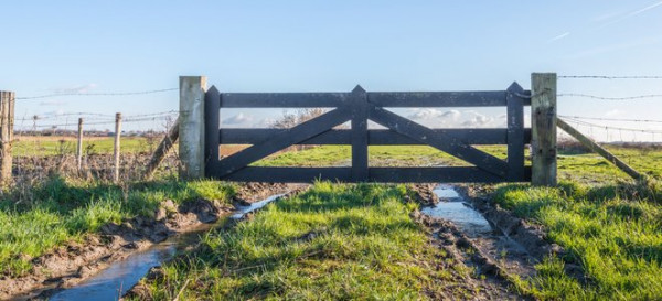 Can You Erect Fence Posts in Wet Clay Soil? 